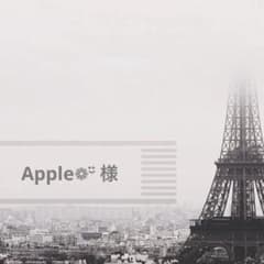 Apple❁¨̮ 様　セミオーダーシール　おまとめ2点のサムネイル