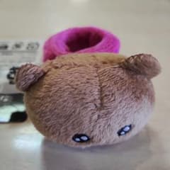 GIGO限定 クマ チェゴシム きゃらフィット タグ付き