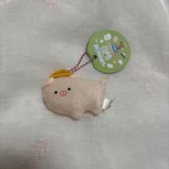 つぶらな瞳の牧場　ぶた　あひる　２種セット つぶらな瞳の牧場 ぶた あひる 2種セット つぶらな瞳の牧場ぶた