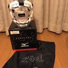 【しろいいぬ様専用】空手 〈ニューメンホーVI〉のサムネイル