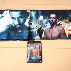 이치 반 쿠지 RIZIN A 상 아크릴 스탠드 E 상 응원 수건 레벨 코이케