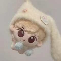 10cm ENHYPEN ジョンウォン JUNGWON ぬいぐるみ本体㉑ - メルカリ