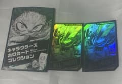 내 영웅 아카데미아 히로아카 홀로카드 홀로카 올마이트