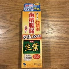 生葉歯磨き粉 100gのサムネイル