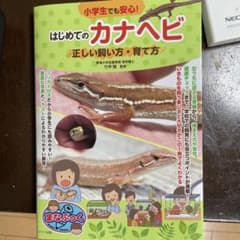 【新品】小学生でも安心! はじめてのカナヘビ 正しい飼い方・育て方のサムネイル