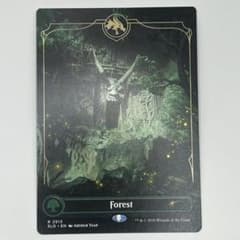 MTG 森/Forest フルアート 英語1枚 SLD - メルカリ