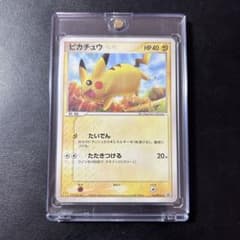 m17992276568_1.jpg?1758280217