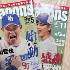 月刊 Dragons まとめ売りのサムネイル