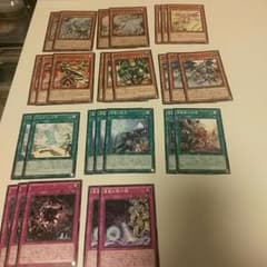 【遊戯王】真竜カードまとめ売りのサムネイル