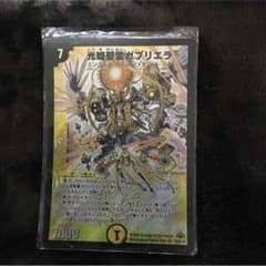 ガブリエラ ルル様専用のサムネイル