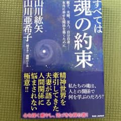 すべては魂の約束 親子、夫婦、友人、自分自身―本当に幸せな関係を築くためにのサムネイル