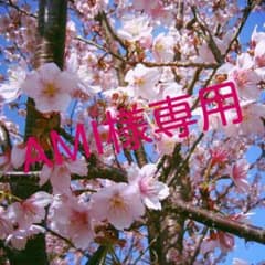 新生児肌着　新品のサムネイル