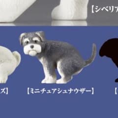 ふんばりーぬ3 シュナウザー　犬 フィギュア カプセルトイ ガチャのサムネイル
