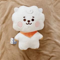 BT21 베이비 RJ 탄탄 L 사이즈
