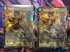 双龍覇王モルトVERSUS×2枚セットのサムネイル