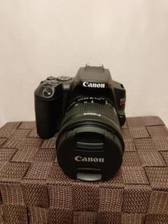 Canon EOS KISS X10 EF-S18-55 IS STM レンス…のサムネイル