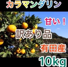 濃厚！カラマンダリン　訳あり品10kgのサムネイル