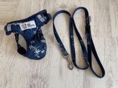 reyn spooner 犬　ハーネス＆リードのサムネイル