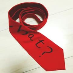 YOHJI YAMAMOTO ネクタイ 赤のサムネイル