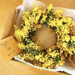 再販✳︎フレッシュミモザリースのサムネイル