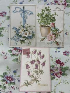 Antique Postcard Set: France Flowers - Wild Roses, Forget-Me-Nots, and Marguerites