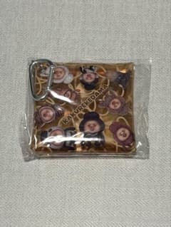 こびとづかん マルチケース クリアポーチ　カクレケダマのサムネイル
