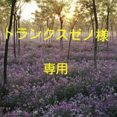 【専用】ドラゴンボールヒーローズカードのサムネイル