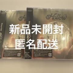 StrayKids スキズ Hollow 新品未開封 CD2枚セット - メルカリ