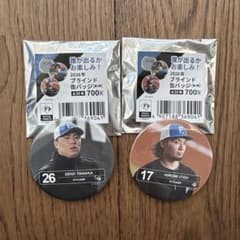 北海道日本ハムファイターズ 缶バッジ 2個セットのサムネイル