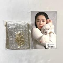 超ときめき宣伝部 坂井仁香 Leoh ブレスレット ゴールド - メルカリ