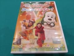 NHK-DVD いないいないばあっ!あつまれ!ワンワンわんだーらんど みんなで…のサムネイル