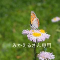 みかえるさん専用のサムネイル