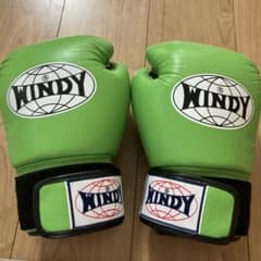 WINDY ボクシンググローブ 8oz BGVHのサムネイル