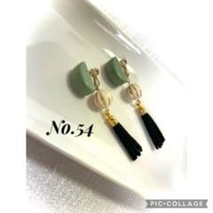 No.54 イヤリングのサムネイル