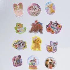 m18066947633_1.jpg?1710219983