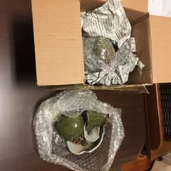 ラックさん宛のサムネイル