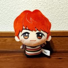 BTS TinyTAN DNA 치비구루미 J-HOPE 호석