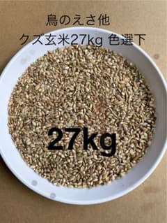 令和7年産クズ玄米27kg鳥のえさ(色選下米)のサムネイル