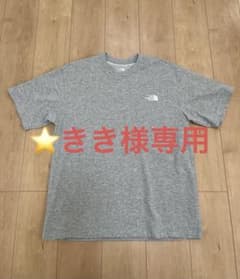 THE NORTH FACE グレー Tシャツのサムネイル