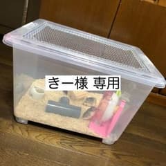 きー様 専用のサムネイル