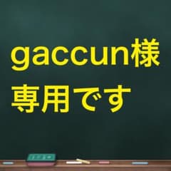 【gaccun様専用です】レディース　靴下 ５本指４足　新品未使用のサムネイル