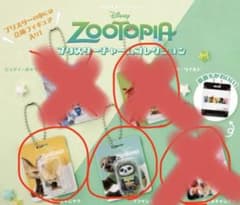 주트 피어 블리스터 매력 컬렉션