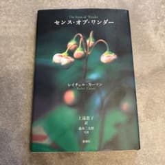 センス・オブ・ワンダーのサムネイル