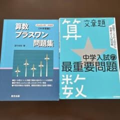 算数/プラスワン問題集 中学受験 & 中学入試の最重要問題算数「文章題」のサムネイル