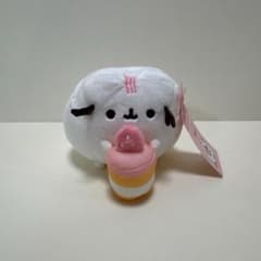 4696猫＊プロフ必読(/・ω・)/様 リクエスト 2点 まとめ商品 - メルカリ