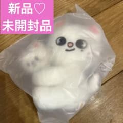 スキズ SKZOO アンコン POPUP マグネット PLUSH ジニレット - メルカリ