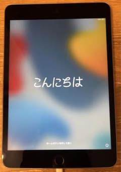iPad mini4 Wi-Fiモデル 64GB スペースグレイのサムネイル