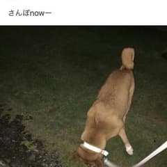 ひらのサムネイル