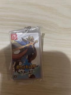 n*o様 ポケモン パッケージ＆カートリッジキーホルダーコレクション　ソードのサムネイル