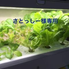 さとっしー様専用のサムネイル